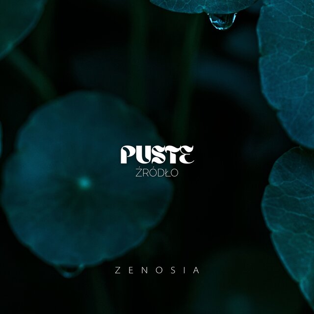 Puste Źródło