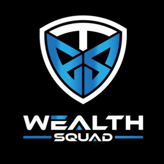The Wealth Squad