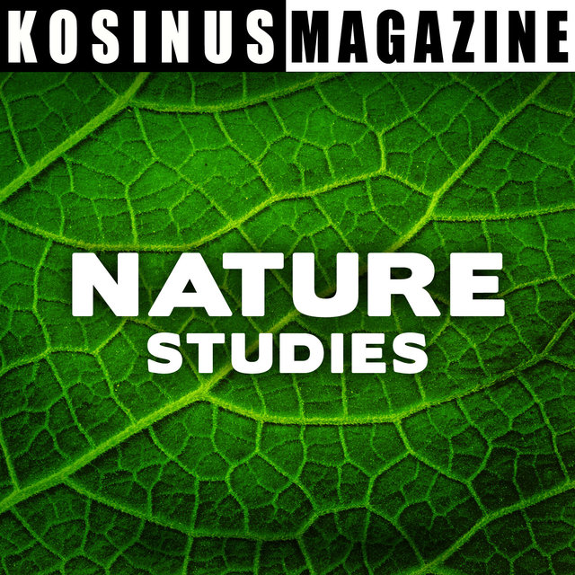 Nature Studies