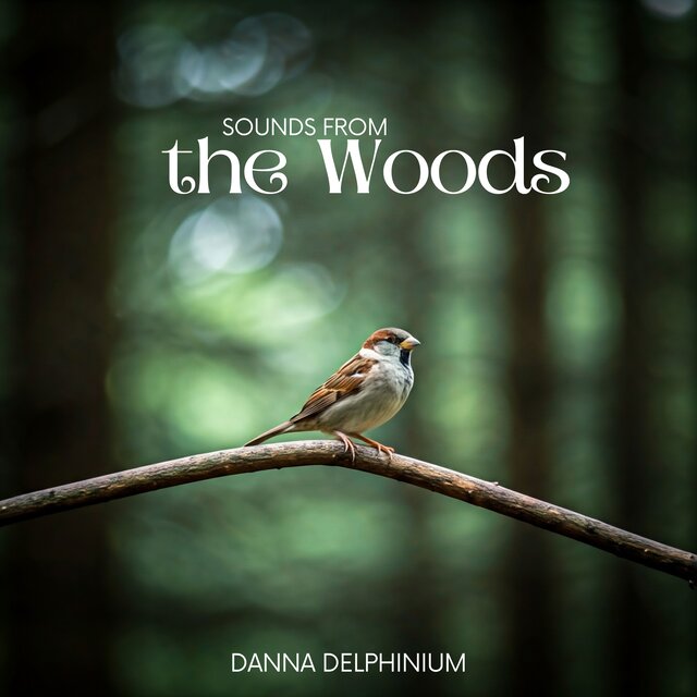 Sounds from the Woods