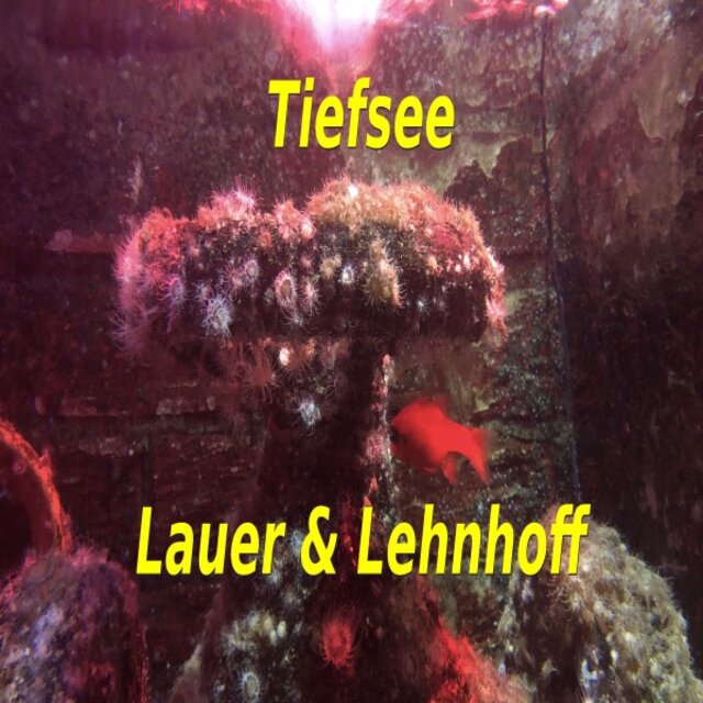 Tiefsee (Lauer & Lehnhoff)