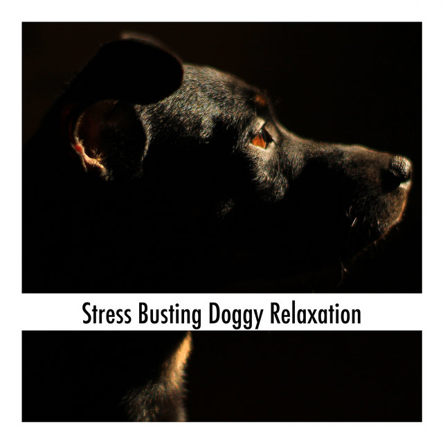 Stress Busting Doggy Relaxation