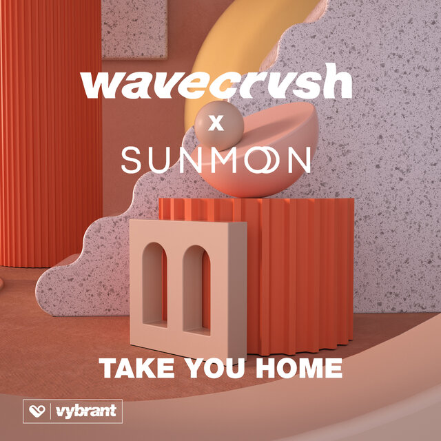 Take You Home