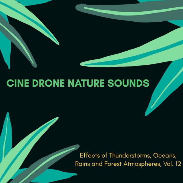 Cine Drone Nature Sounds - Effects of Thunderstorms, Oceans, Rains and Forest Atmospheres, Vol. 12