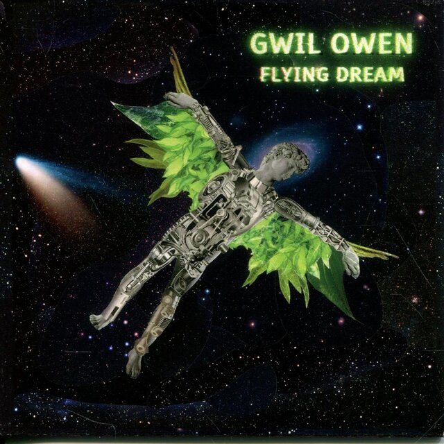 Flying Dream