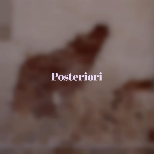 Posteriori