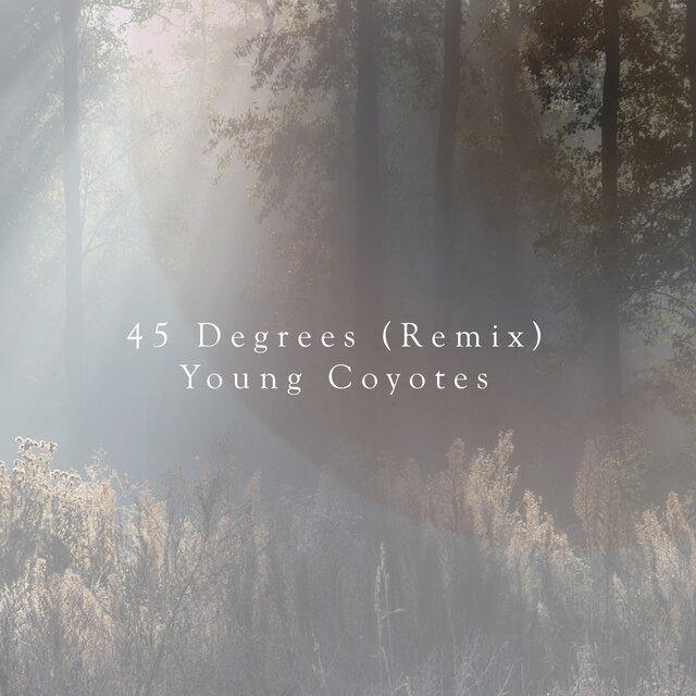 45 Degrees - Remix