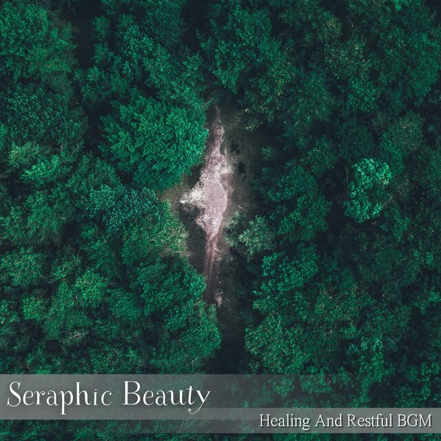 Healing And Restful BGM