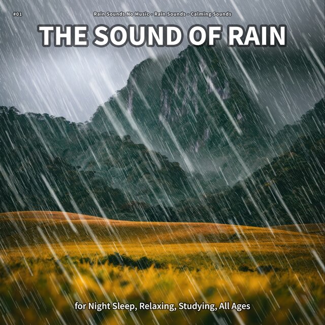 #01 The Sound of Rain for Night Sleep, Relaxing, Studying, All Ages