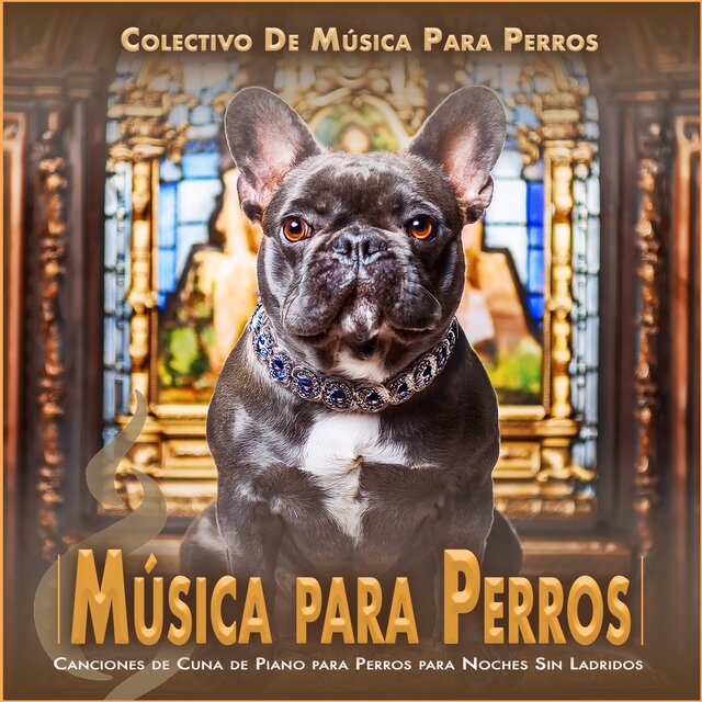 Música para Perros: Canciones de Cuna de Piano para Perros para Noches Sin Ladridos