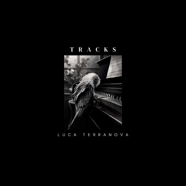 Tracks
