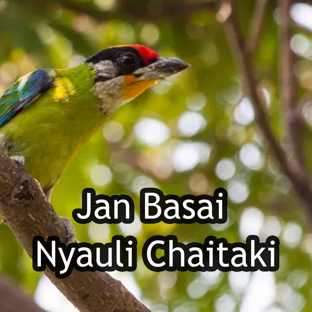 Jan Basai Nyauli Chaitaki