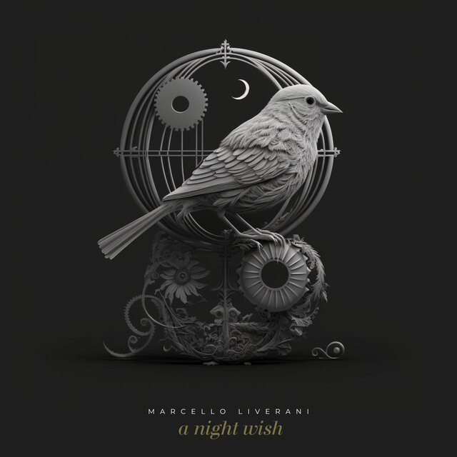 A Night Wish