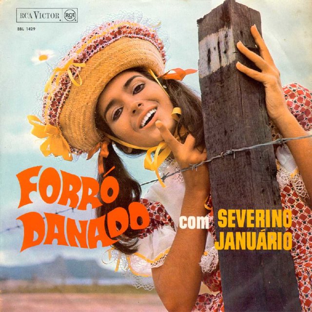 Forró danado