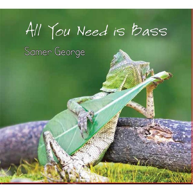 All You Need Is Bass