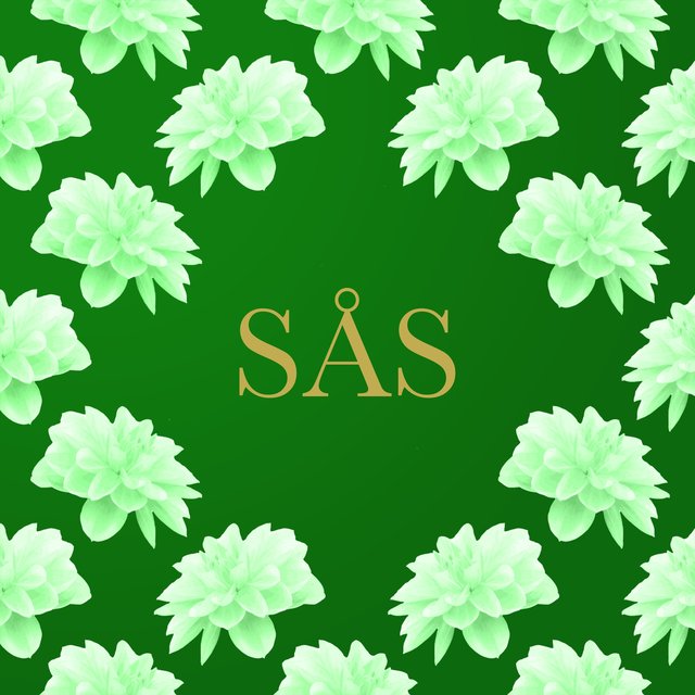 SÅS