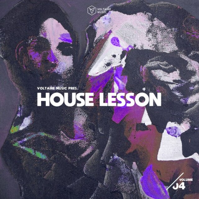 Voltaire Music Pres. House Lesson, Vol. 4
