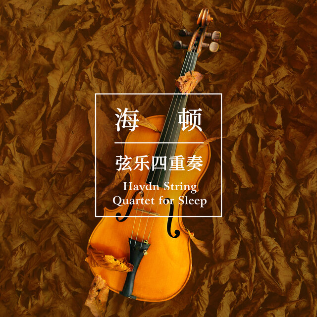 Haydn String Quartet for Sleep