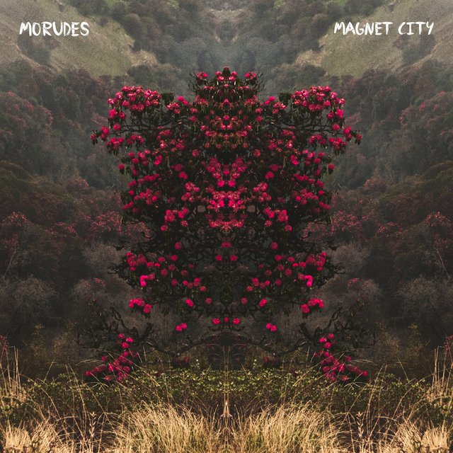 Magnet City