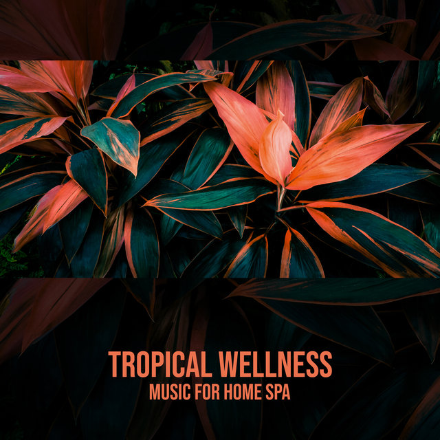 Tropical Wellness (Music for Home Spa with Relaxing Nature Sounds for Your Everyday Beauty Treatments)