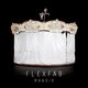 Cover art for album Manoir by Flexfab