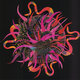 Cover art for album Flamingo by Pleasure Raft