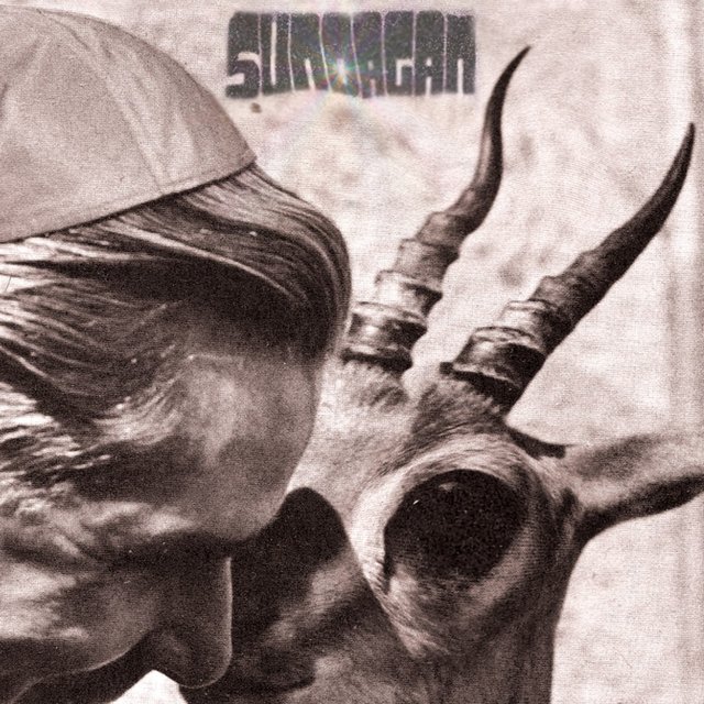 SUN ORGAN