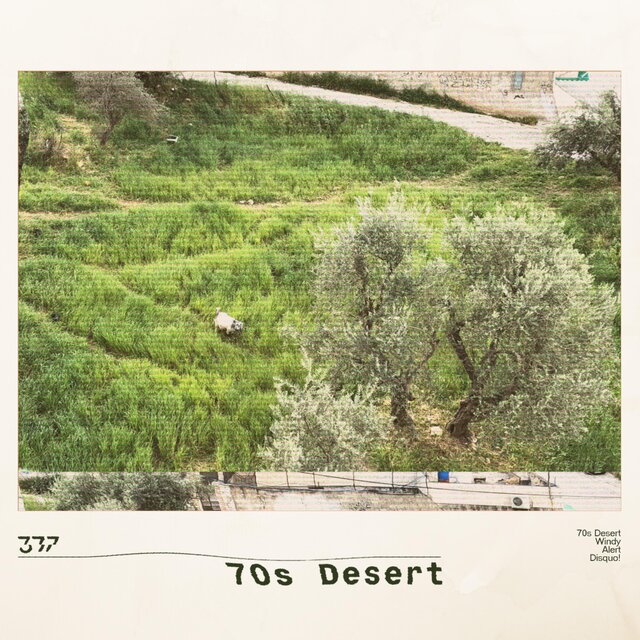 70s Desert (Remixes)