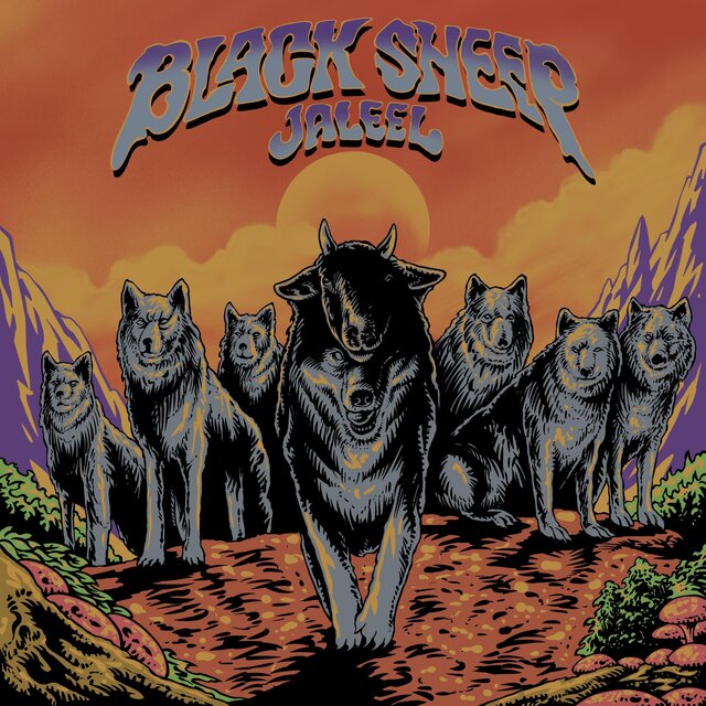 Black Sheep