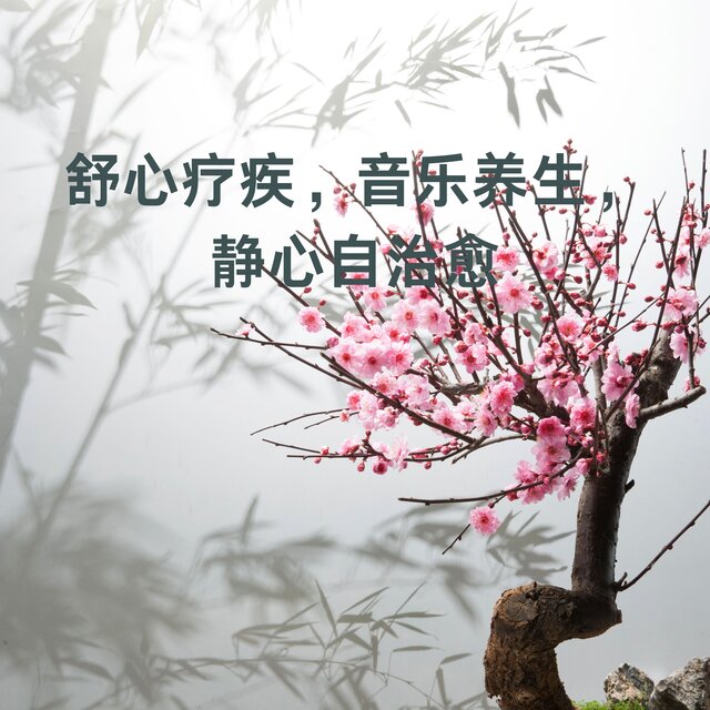 舒心疗疾，音乐养生，静心自治愈