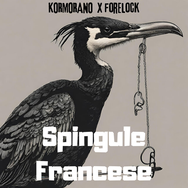 Spingule Francese