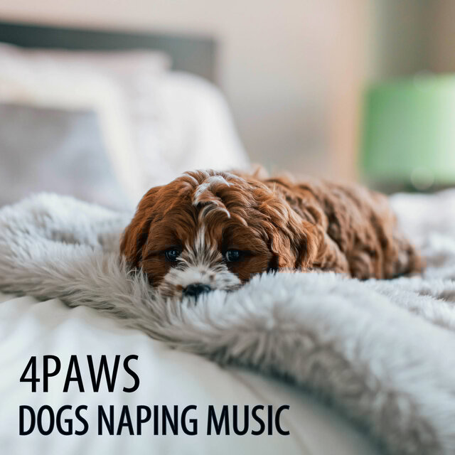 4PAWS: Dogs Napping Music