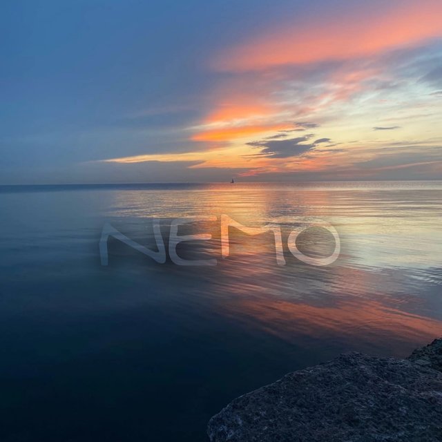 Nemo