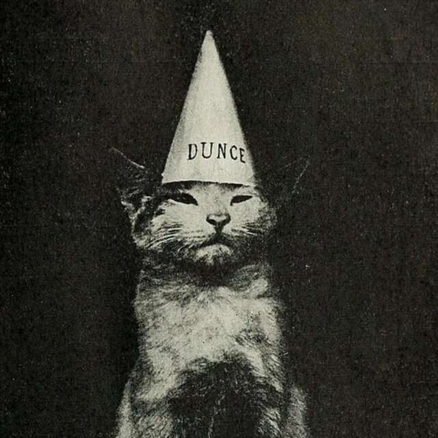 DUNCE