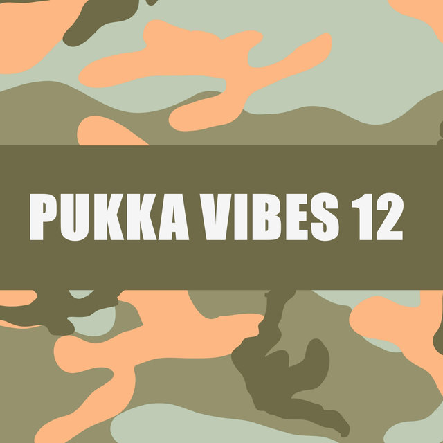 PUKKA VIBES 12