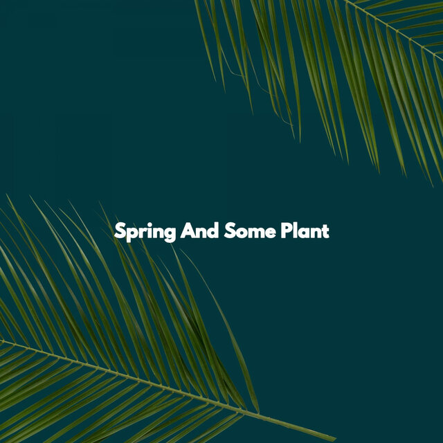 Spring And Some Plant