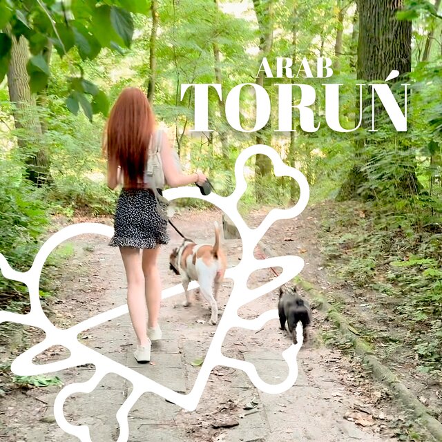 TORUŃ