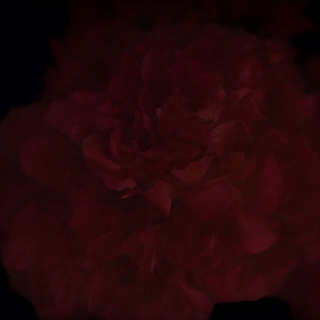 Reminiscence