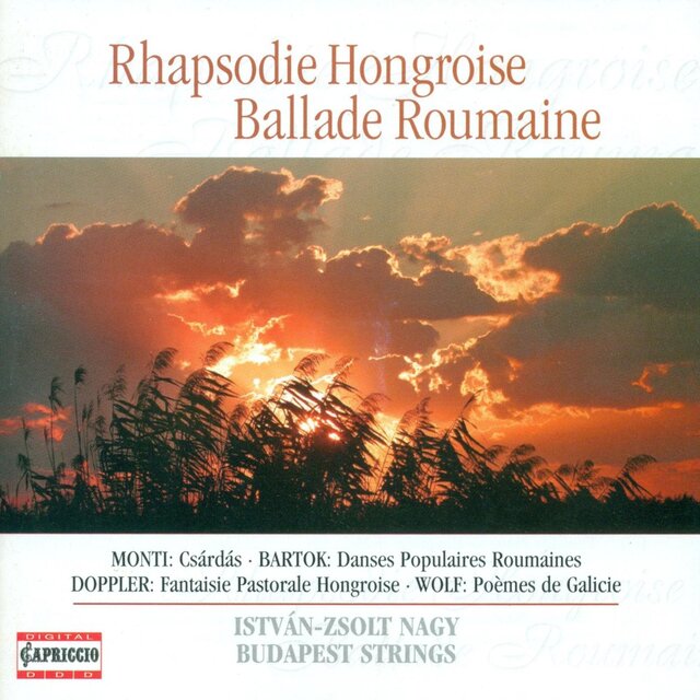Flute and String Orchestra Arrangements - Brahms, J. / Porumbescu, C. / Enescu, G. / Doppler, F. / Bartok , B.