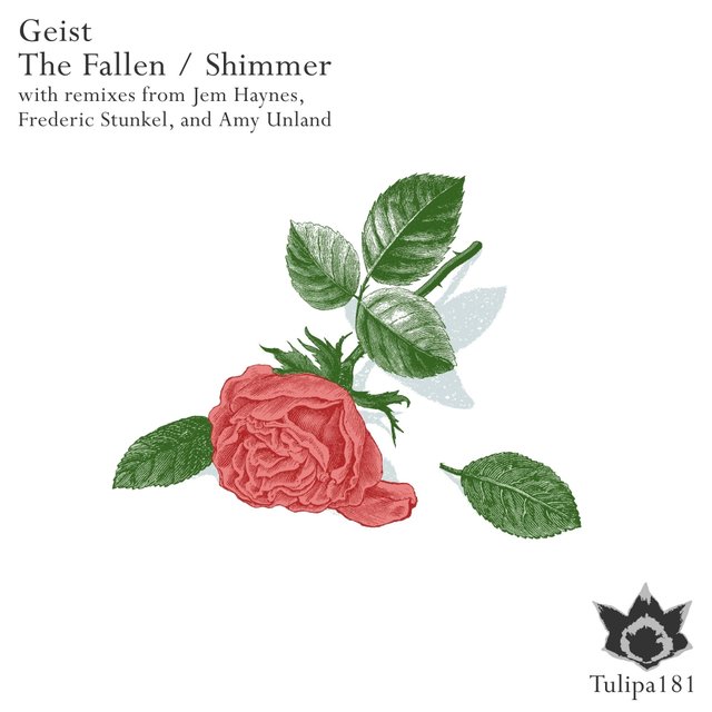 The Fallen / Shimmer