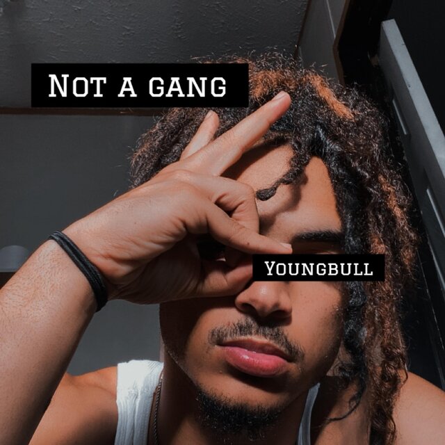 Not A Gang