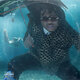 Cover art for album Drip or Drown 2 by Gunna