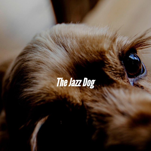 The Jazz Dog