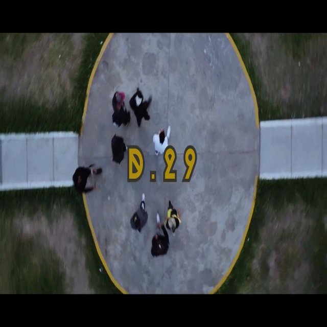 D.29