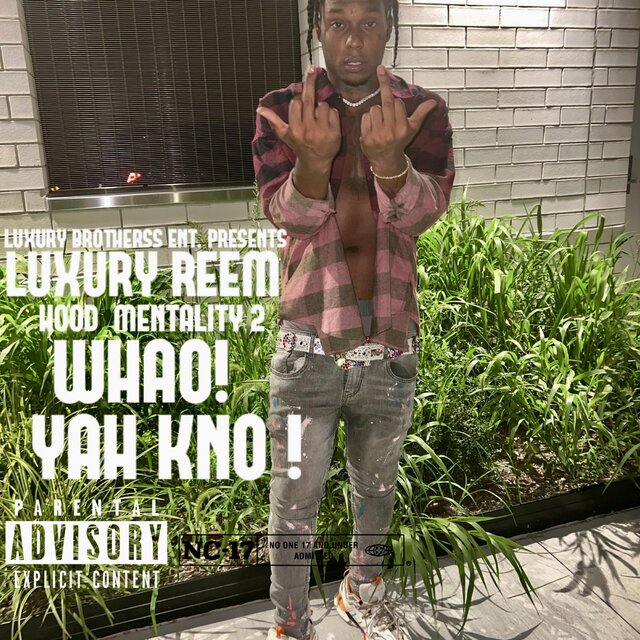 Hood Mentality 2