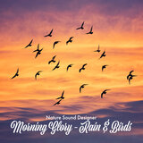 Morning Glory - Rain & Birds