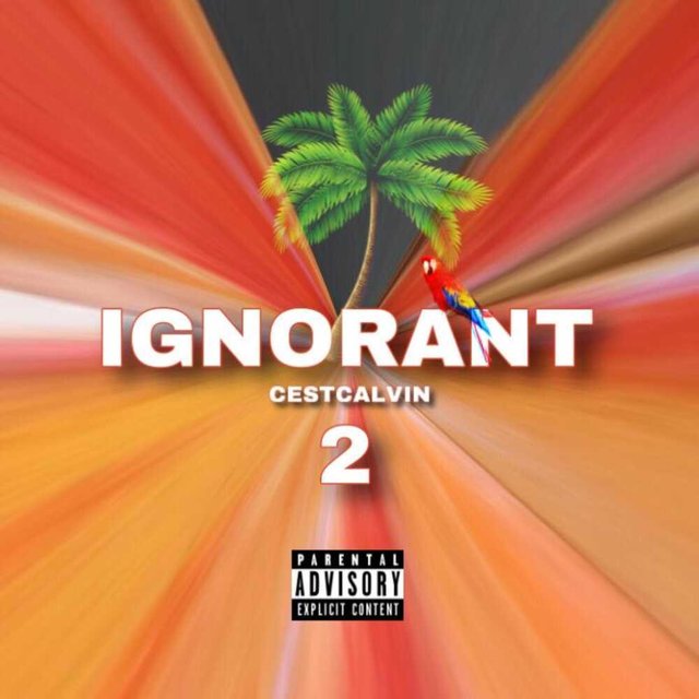 IGNORANT 2