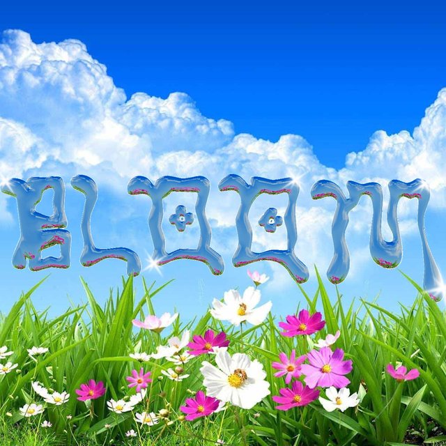 BLOOM