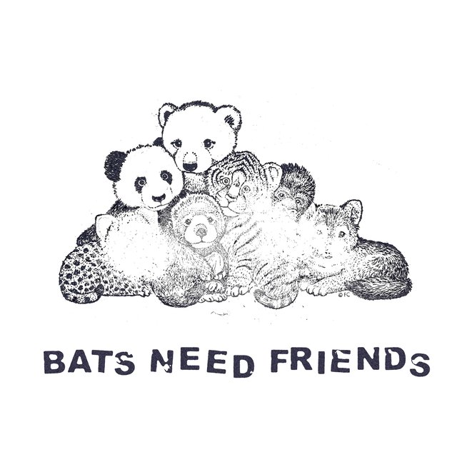 Bats Need Friends