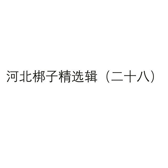河北梆子精选辑（二十八）